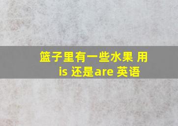 篮子里有一些水果 用is 还是are 英语